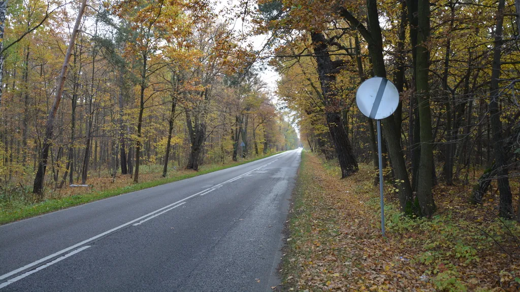 Czy przedstawiony znak odwołuje zakaz wyrażony znakiem B-35 „zakaz postoju”?